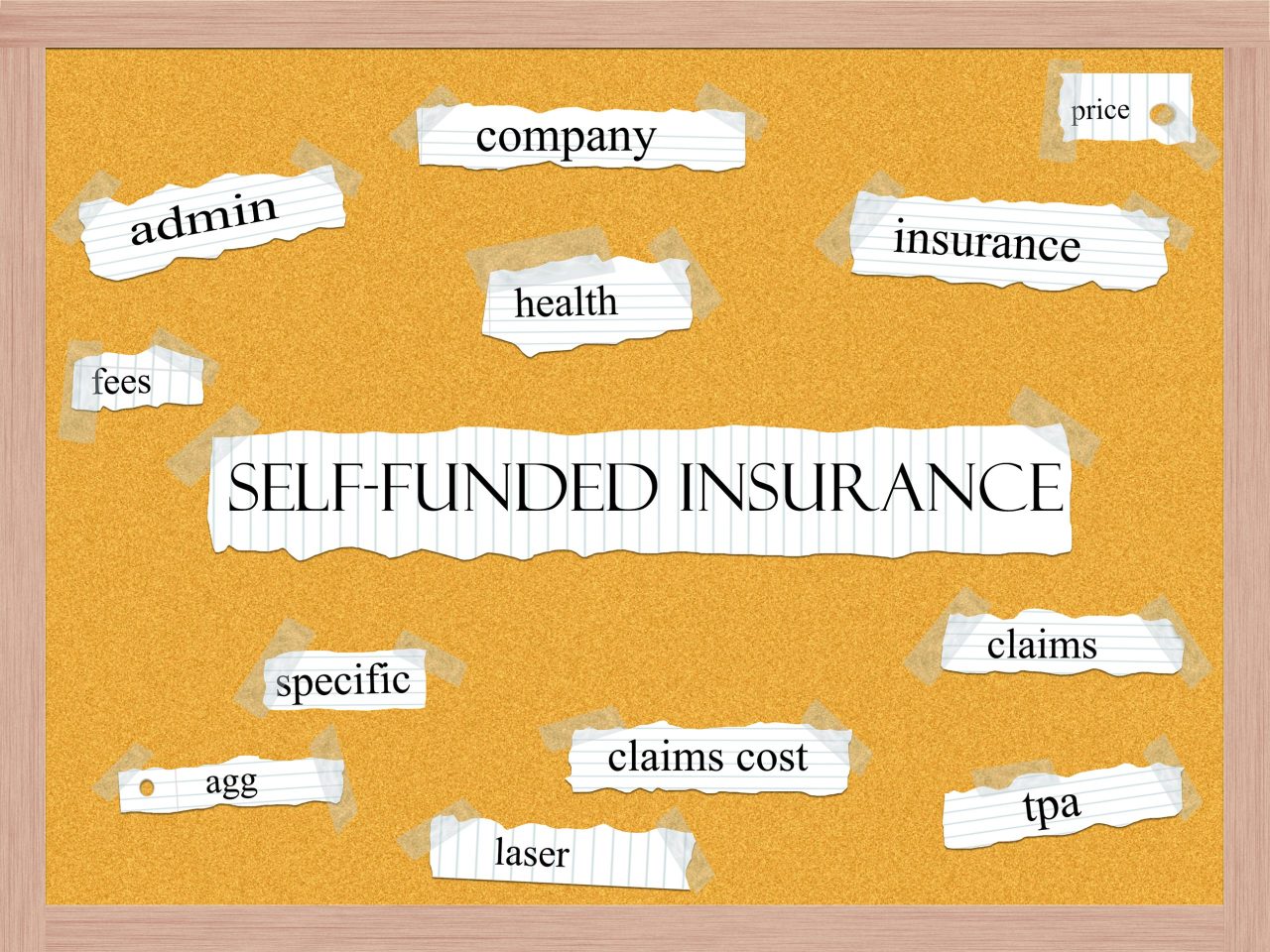 Self Insurance